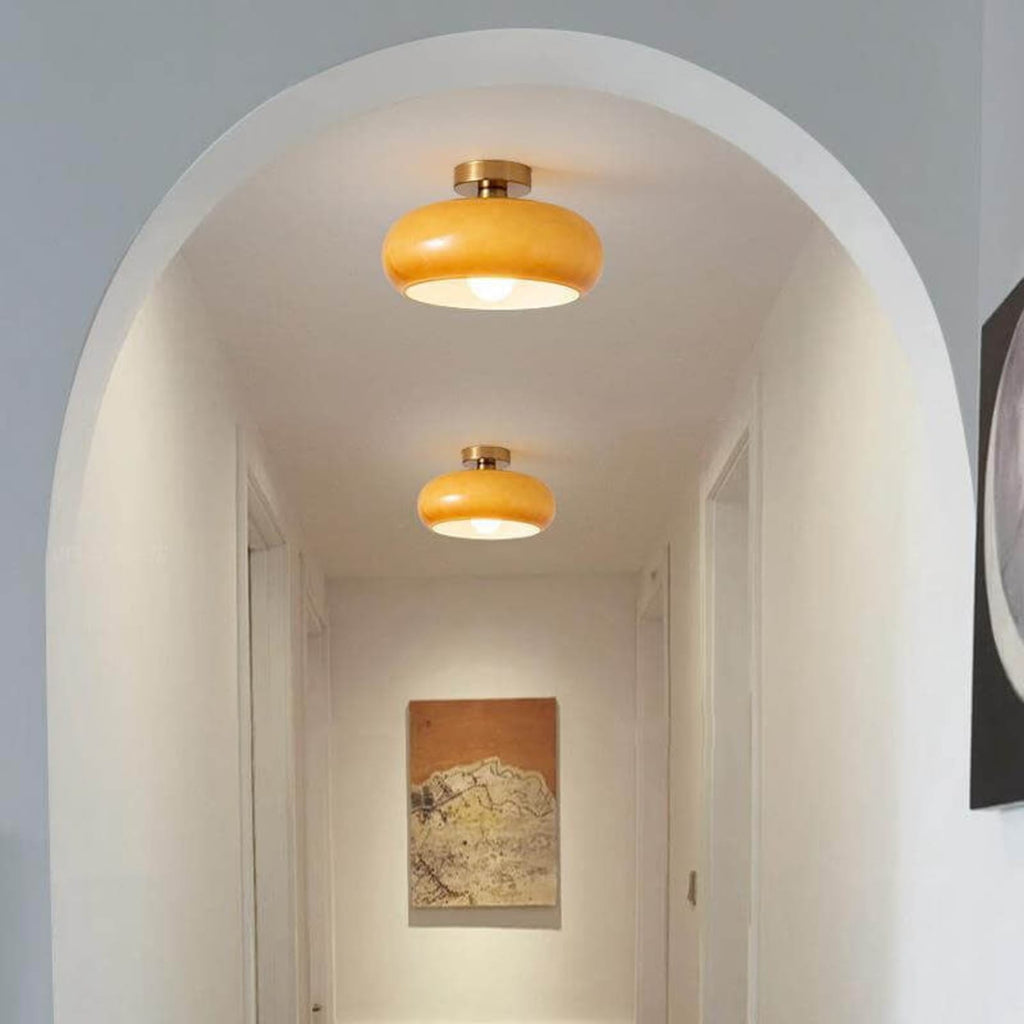 Retro Glass Flush Mount Ceiling Light and Pendant