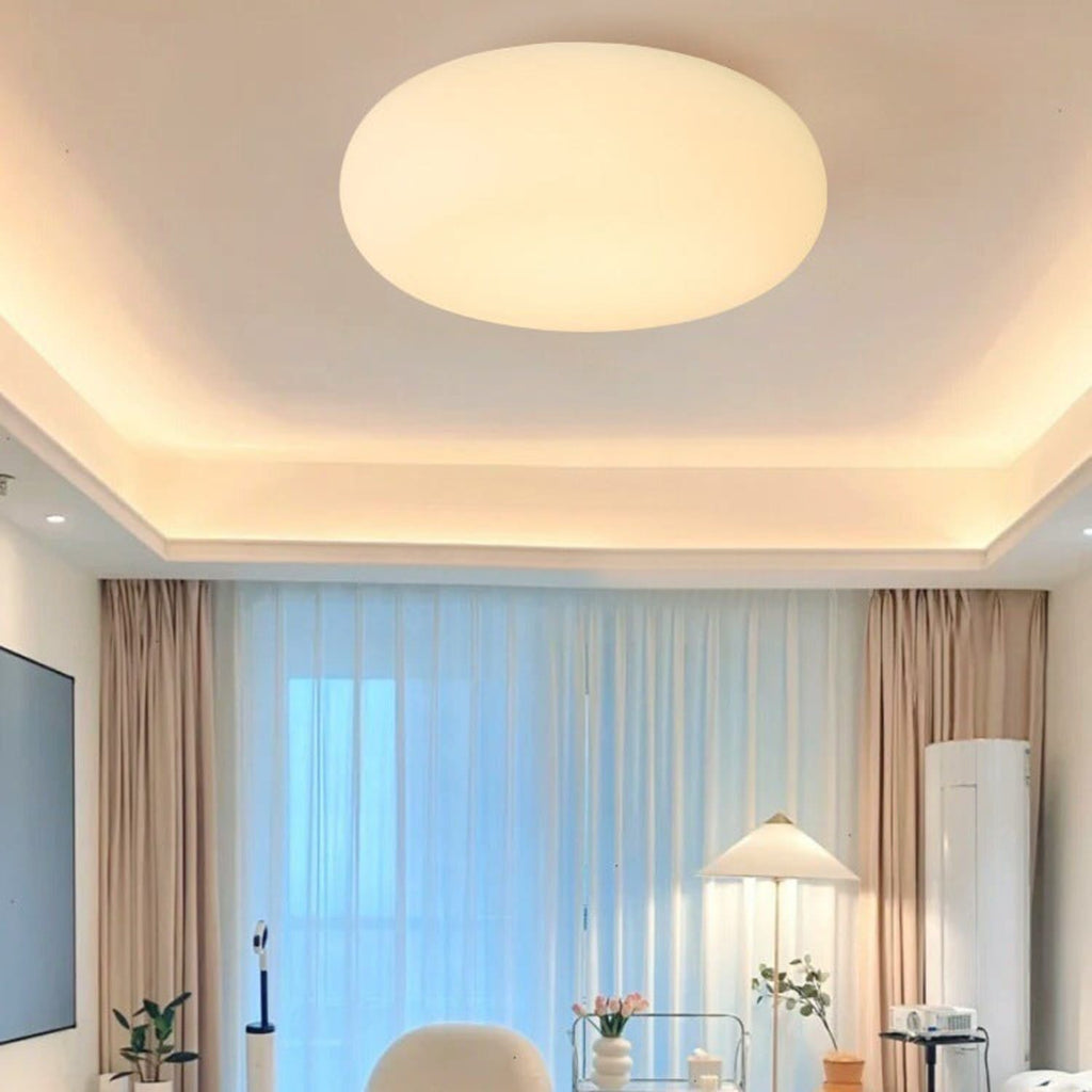 Oval LED Flush Mount Ceiling Light for Bedroom