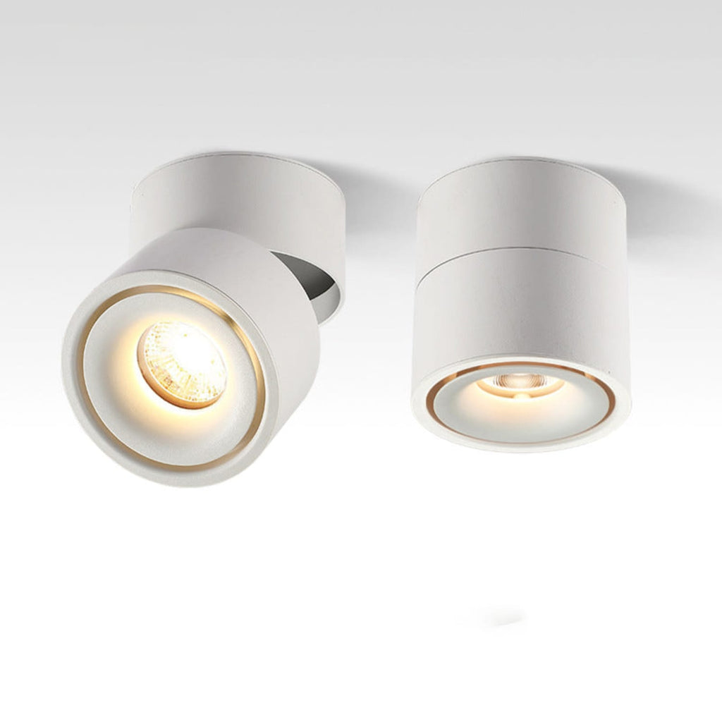 Adjustable Cylinder Flush Mount Ceiling Light for Living Room