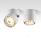 Adjustable Cylinder Flush Mount Ceiling Light for Living Room