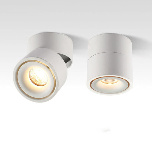 Adjustable Cylinder Flush Mount Ceiling Light for Living Room