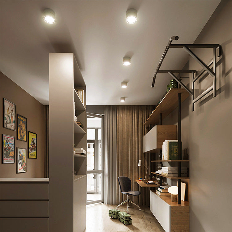 Adjustable Cylinder Flush Mount Ceiling Light for Living Room
