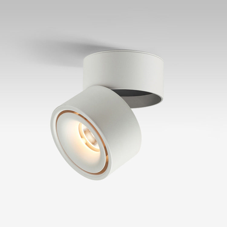 Adjustable Cylinder Flush Mount Ceiling Light for Living Room