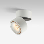 Adjustable Cylinder Flush Mount Ceiling Light for Living Room