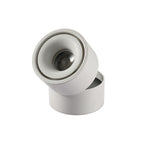Adjustable Cylinder Flush Mount Ceiling Light for Living Room