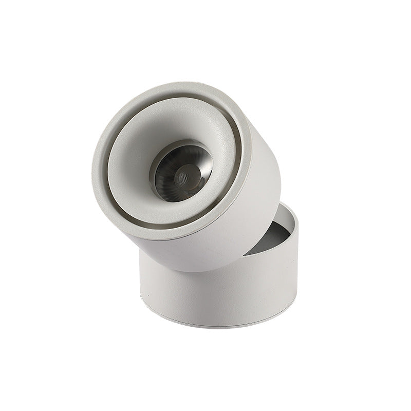 Adjustable Cylinder Flush Mount Ceiling Light for Living Room