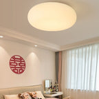 Oval LED Flush Mount Ceiling Light for Bedroom