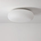 Oval LED Flush Mount Ceiling Light for Bedroom