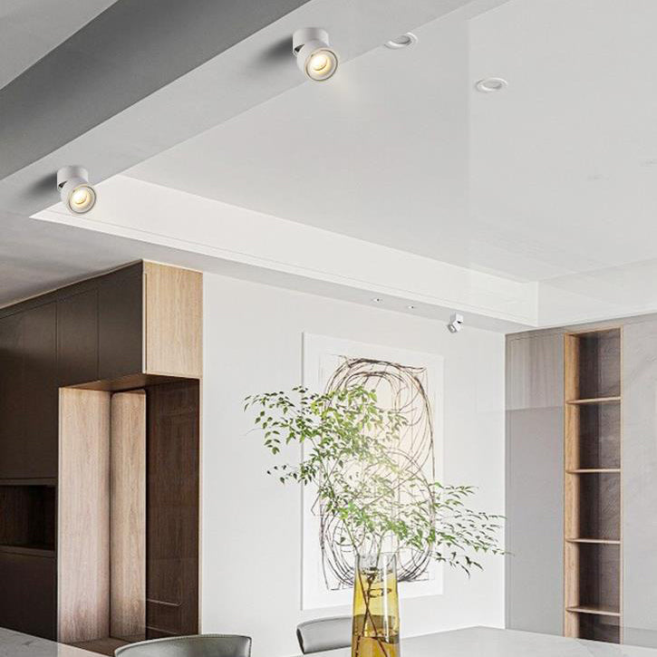Adjustable Cylinder Flush Mount Ceiling Light for Living Room