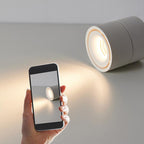 Adjustable Cylinder Flush Mount Ceiling Light for Living Room