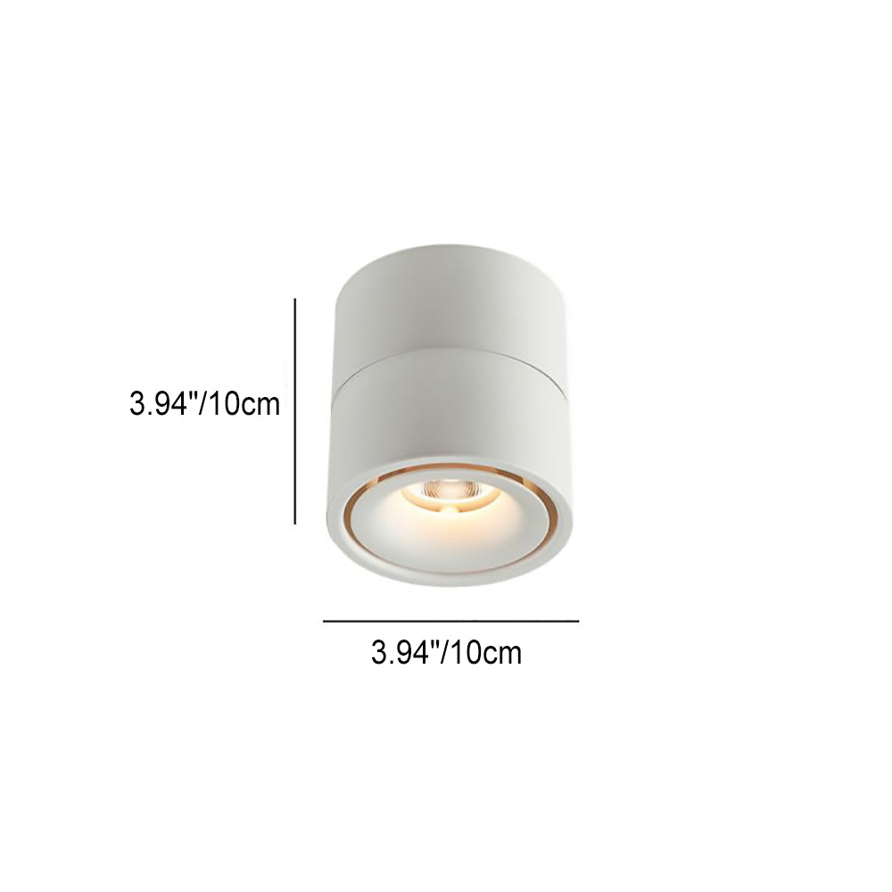 Adjustable Cylinder Flush Mount Ceiling Light for Living Room