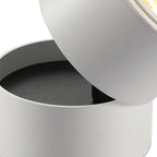 Adjustable Cylinder Flush Mount Ceiling Light for Living Room