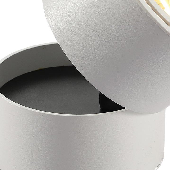 Adjustable Cylinder Flush Mount Ceiling Light for Living Room