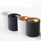 Adjustable Cylinder Flush Mount Ceiling Light for Living Room