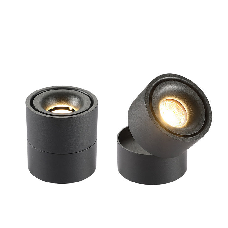 Adjustable Cylinder Flush Mount Ceiling Light for Living Room