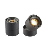 Adjustable Cylinder Flush Mount Ceiling Light for Living Room