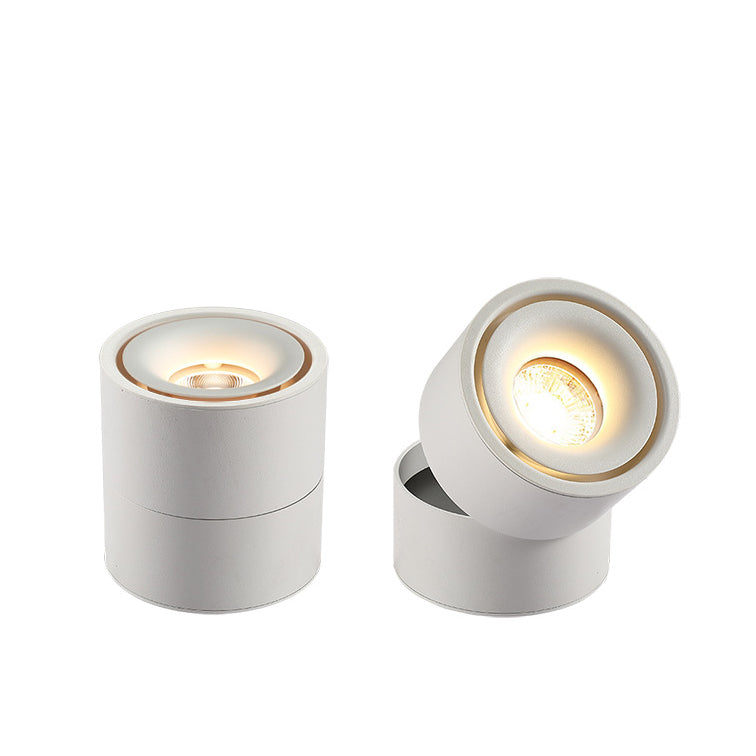 Adjustable Cylinder Flush Mount Ceiling Light for Living Room