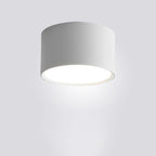Cylinder Flush Mount Ceiling Light Aluminum LED Fixture for Hallway