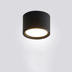 Cylinder Flush Mount Ceiling Light Aluminum LED Fixture for Hallway