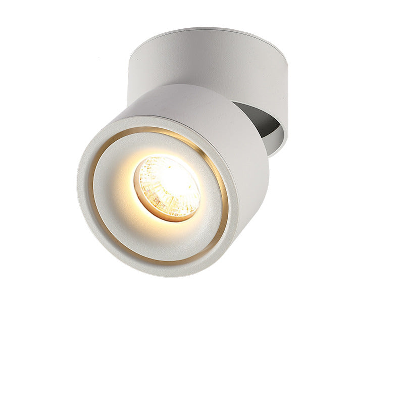 Adjustable Cylinder Flush Mount Ceiling Light for Living Room