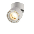 Adjustable Cylinder Flush Mount Ceiling Light for Living Room