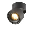 Adjustable Cylinder Flush Mount Ceiling Light for Living Room
