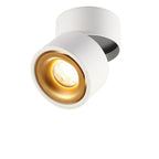 Adjustable Cylinder Flush Mount Ceiling Light for Living Room