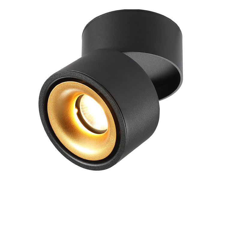 Adjustable Cylinder Flush Mount Ceiling Light for Living Room