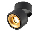 Adjustable Cylinder Flush Mount Ceiling Light for Living Room